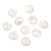 Natural White Shell Beads SSHEL-B006-03-1