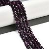 Natural Ruby Beads Strands G-P553-G01-05-2