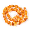 Natural Amber Beads Strands G-T138-235B-2