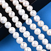 Natural Cultured Freshwater Pearl Beads Strands PEAR-N013-08E-2