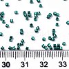 FGB 11/0 Grade A Glass Seed Beads X-SEED-S030-1216-4