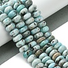 Natural Larimar Beads Strands G-H004-A01-01-2