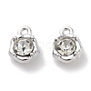 Rack Plating Alloy Rhinestone Charms PALLOY-F311-17P-01-1