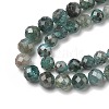 Natural Apatite Beads Strands G-G189-D02-07-4