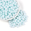 Opaque Baking Paint Glass Seed Beads SEED-N008-03A-07-1