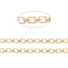 Alloy Rectangle and Oval Link Chains LCHA-I002-03G-4