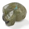 Natural Labradorite Beads G-B003-08-3