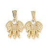 Brass Micro Pave Cubic Zirconia Pendants ZIRC-F134-27G-02-2