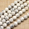 Natural Howlite Beads Strands G-I107-6mm-1