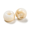Glass Seed Beads GLAA-Q096-01F-3