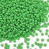 MIYUKI Round Rocailles Beads SEED-G007-RR4476-1
