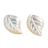 Natural White Shell Pendants SSHEL-S258-100C-4