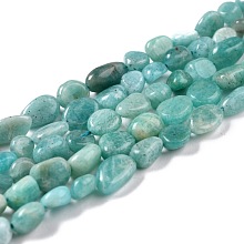 Natural Amazonite Beads Strands G-G018-52