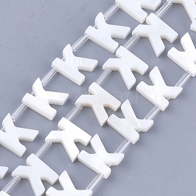 Natural Freshwater Shell Beads SHEL-T012-59K-1