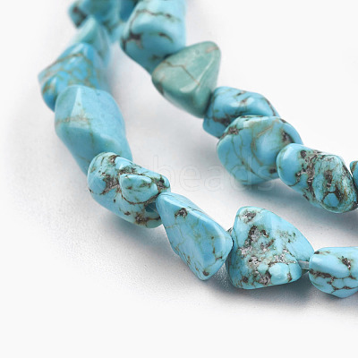 Natural Magnesite Beads Strands TURQ-G101-03-1