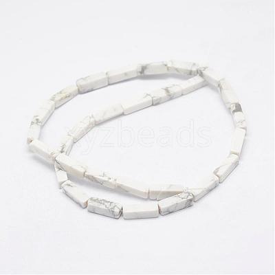 Natural Howlite Beads Strands G-E342-15-1