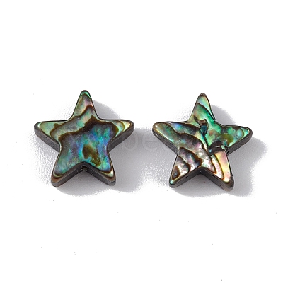 Natural Abalone Shell/Paua Shell Beads SSHEL-M021-01-1