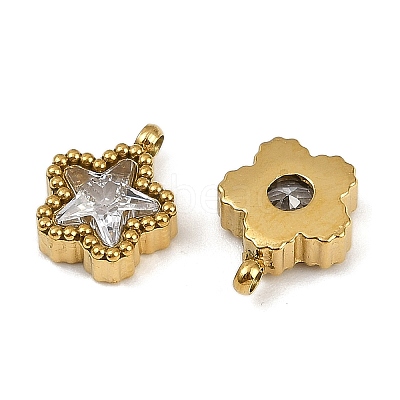 304 Stainless Steel Micro Pave Cubic Zirconia Charms LS-STAS-K302-01A-G-1