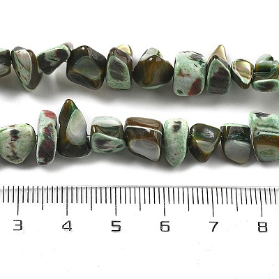 Dyed Natural Trochus Shell Beads Strands BSHE-Z006-01A-1