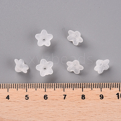 Transparent Acrylic Beads PL554-1