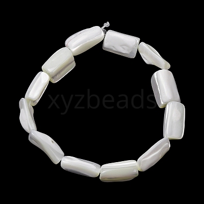 Natural Trochid Shell/Trochus Shell Beads Strands SH-CBA2978-20A-1