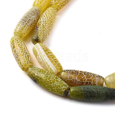 Natural Weathered Agate Beads Strands G-P570-C04-01-1
