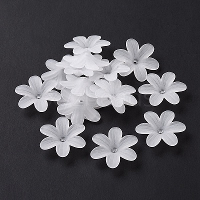 6-Petal Transparent Acrylic Bead Caps OACR-A017-14-1
