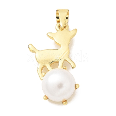 Rack Plating Brass Pendants KK-K293-24O-G-1