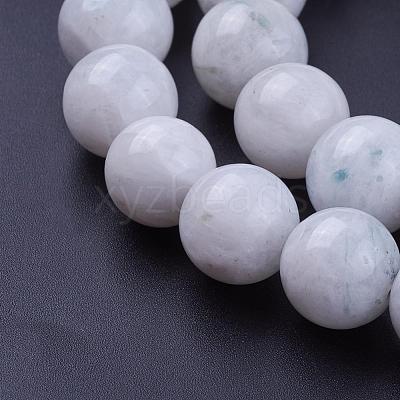 Natural Rainbow Moonstone Bead Strands G-G970-37-12mm-1