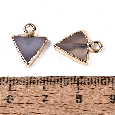 Natural Agate(Dyed & Heated) Pendants G-Q606-103G-06-1