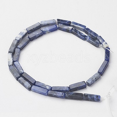 Natural Sodalite Beads Strands X-G-G968-D02-1