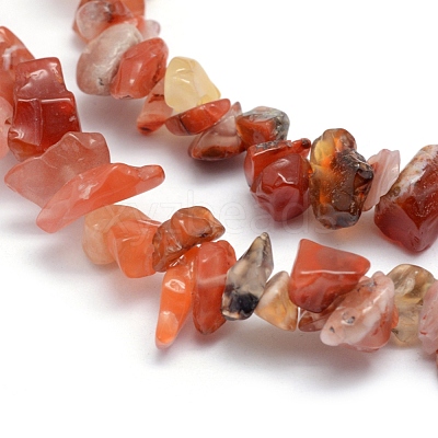 Natural Carnelian Beads Strands G-P332-04-1