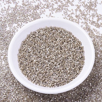 MIYUKI Delica Beads X-SEED-J020-DB0680-1