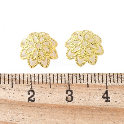 Brass Fancy Bead Caps LS-X-KK-EC1166-G-1