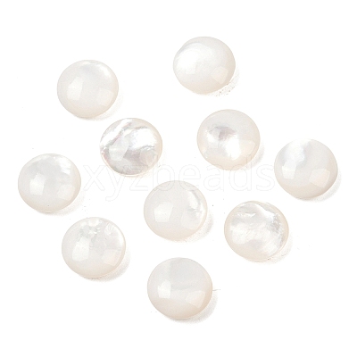 Natural White Shell Beads SSHEL-B006-03-1