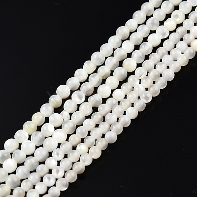 Natural White Shell Bead Strands X-SSHEL-N003-144A-01-1