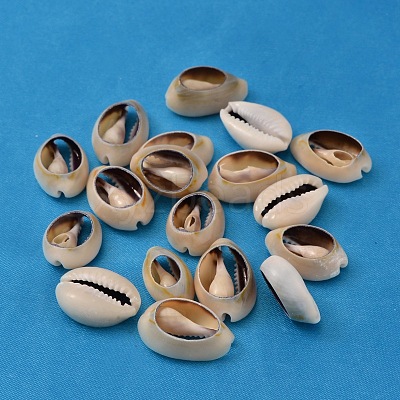 Natural Cowrie Shell Beads X-BSHE-S052-1