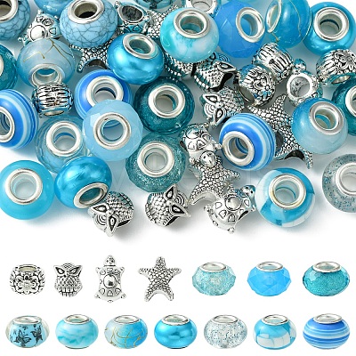 DIY Tibetan Style Alloy & Resin European Beads Making Finding Kits DIY-FS0006-78F-1