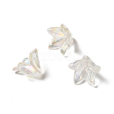 Transparent Acrylic Bead Caps OACR-H016-05A-1