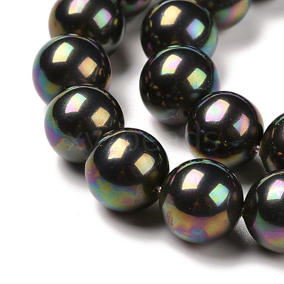 Shell Pearl Bead Strands X-BSHE-L025-05-10mm-1