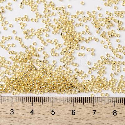 MIYUKI Round Rocailles Beads X-SEED-G009-RR0003-1