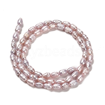 Natural Cultured Freshwater Pearl Beads Strands PEAR-E016-128-1