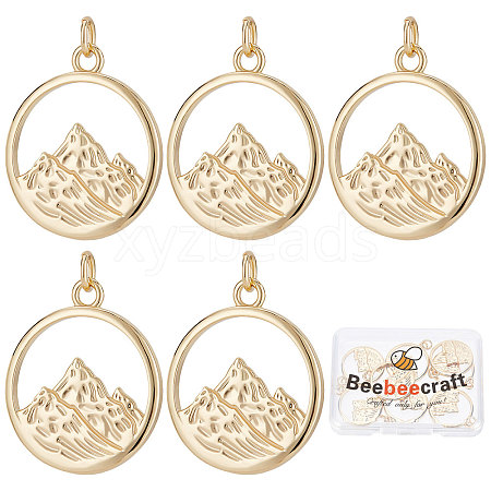 Beebeecraft Brass Pendants KK-BBC0003-21-1