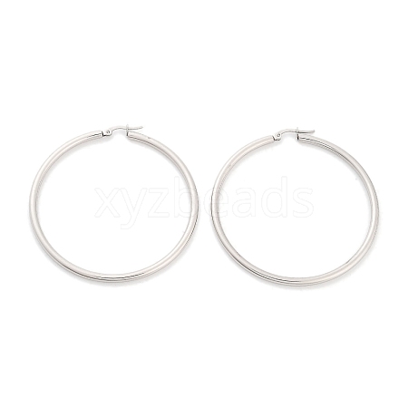 Non-Tarnish Ring 304 Stainless Steel Hoop Earrings for Women Men EJEW-B049-01I-P-1