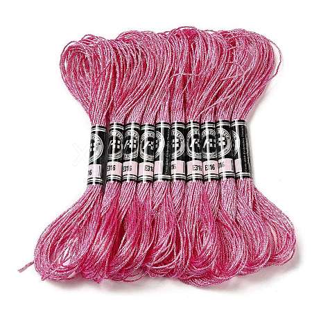 10 Skeins 12-Ply Metallic Polyester Embroidery Floss OCOR-Q057-A16-1