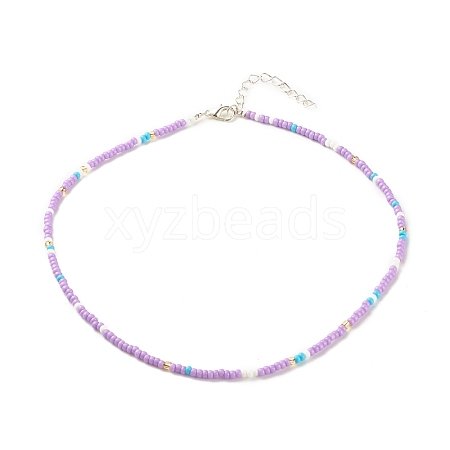 Glass Seed Beaded Necklace NJEW-JN03825-03-1