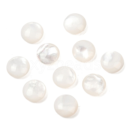 Natural White Shell Beads SSHEL-B006-03-1
