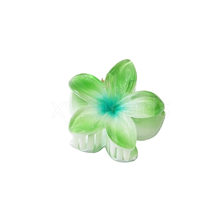 Plastic Claw Hair Clips PW-WG07B2B-09-1