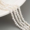 Natural Cultured Freshwater Pearl Beads Strands PEAR-C003-11A-2