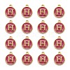 Golden Plated Alloy Enamel Charms LS-ENAM-S118-08H-2
